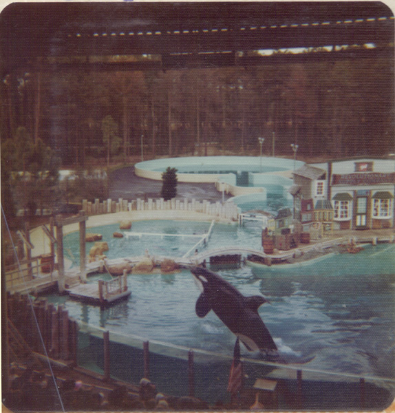 Pre 1980 (113)