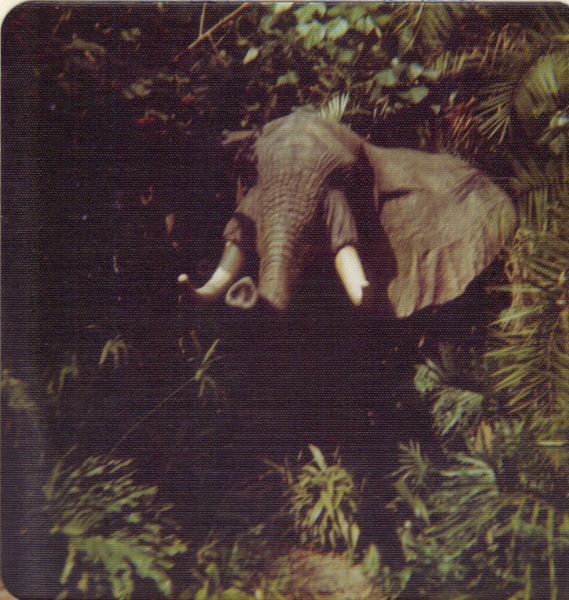Pre 1980 (130)
