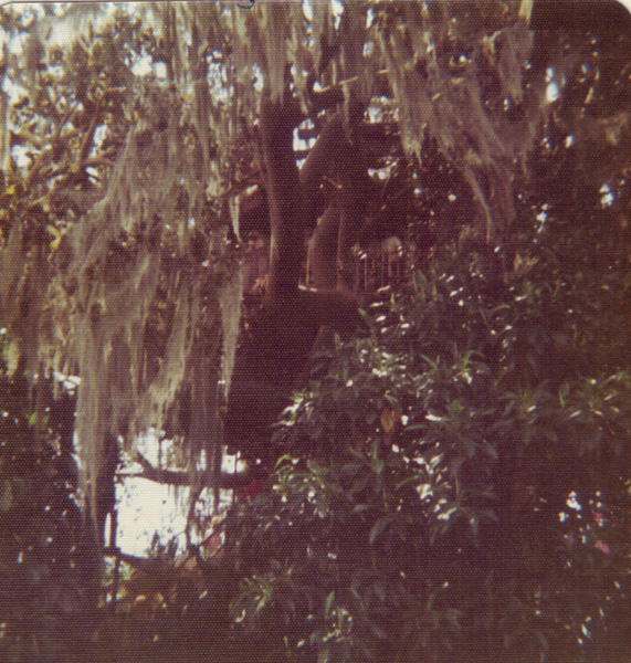 Pre 1980 (131)