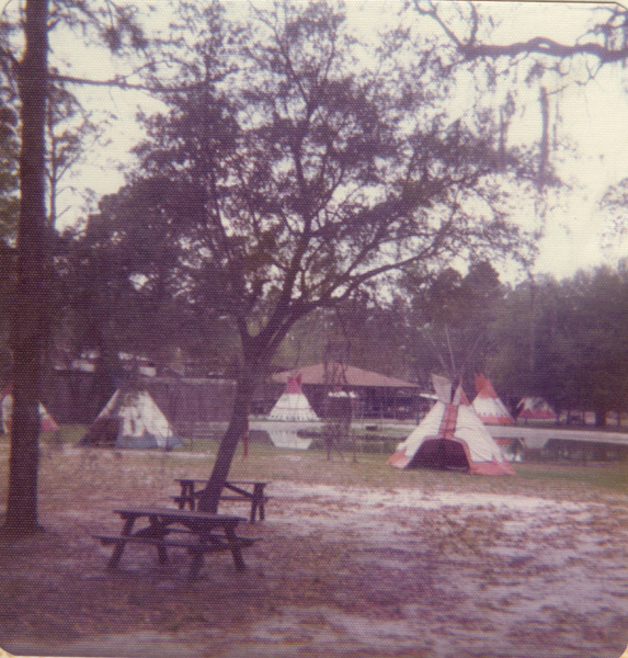 Pre 1980 (146)
