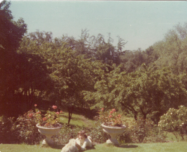 Pre 1980 (199)