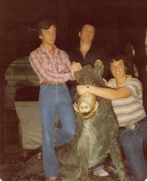 Pre 1980 (203)