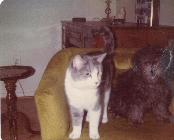 Pre 1980 (223)