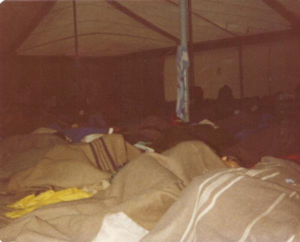 Pre 1980 (233)