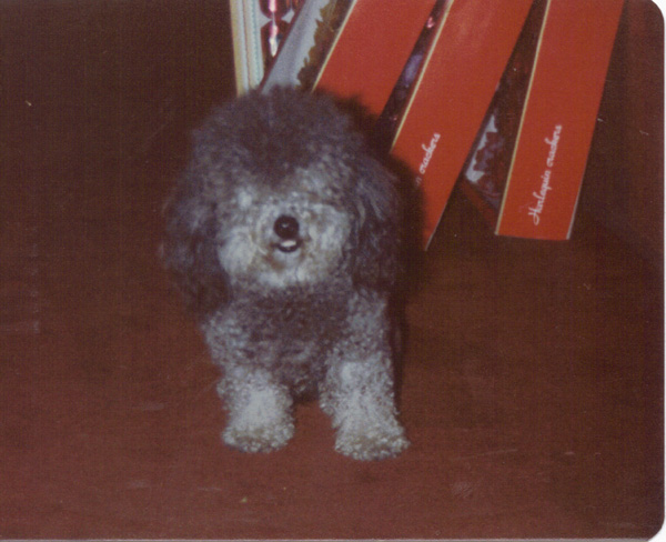 Pre 1980 (238)