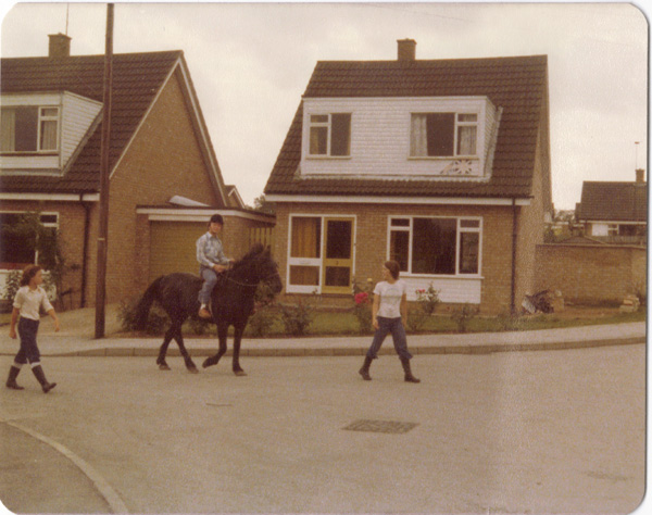 Pre 1980 (290)