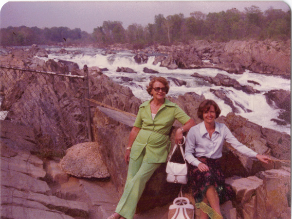 Pre 1980 (310)