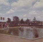 Pre 1980 (111)