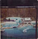 Pre 1980 (112)