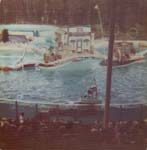 Pre 1980 (116)