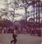 Pre 1980 (139)