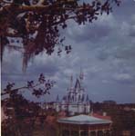 Pre 1980 (141)
