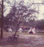 Pre 1980 (146)