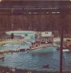 Pre 1980 (147)