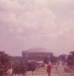 Pre 1980 (168)