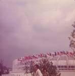 Pre 1980 (173)