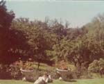 Pre 1980 (199)
