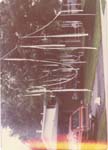 Pre 1980 (221)