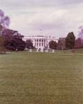 Pre 1980 (250)