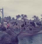 Pre 1980 (254)