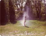 Pre 1980 (281)