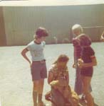 Pre 1980 (295)
