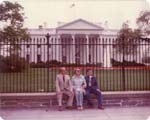 Pre 1980 (308)