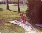 Pre 1980 (309)