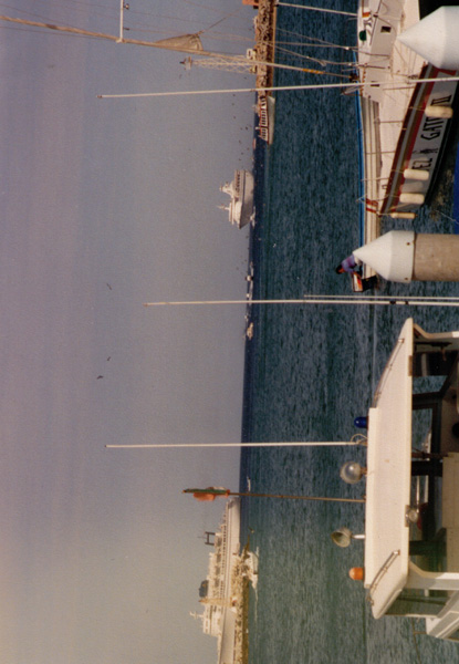 1991-1992 (524)