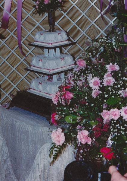 1993 (161)
