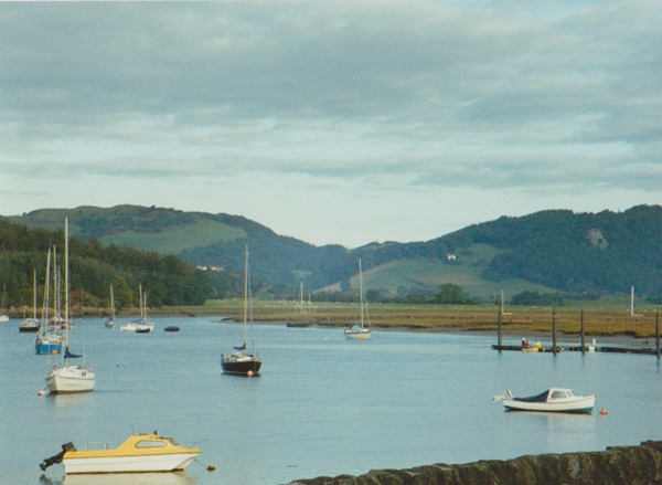 1993 (176)