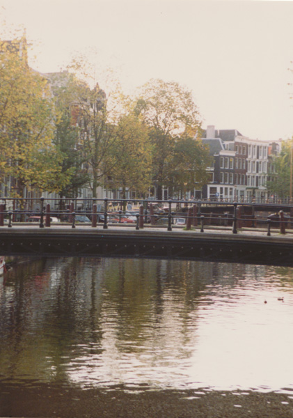 1993 (204)