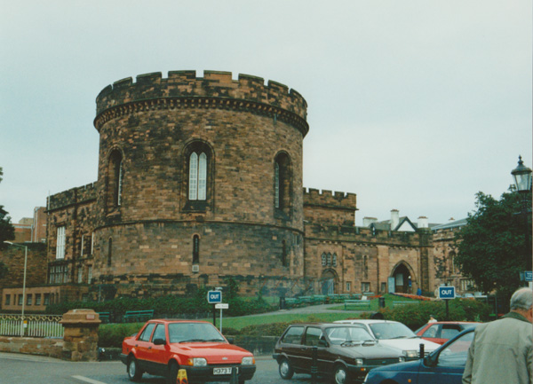 1993 (247)