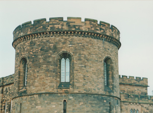 1993 (249)