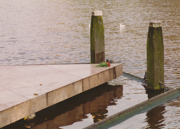 1993 (294)