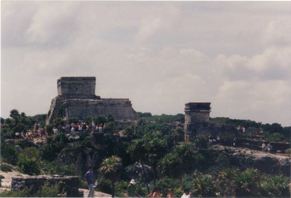 1993 (319)
