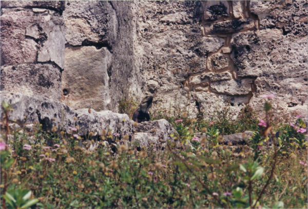 1993 (321)