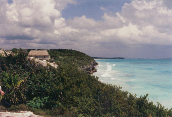 1993 (323)