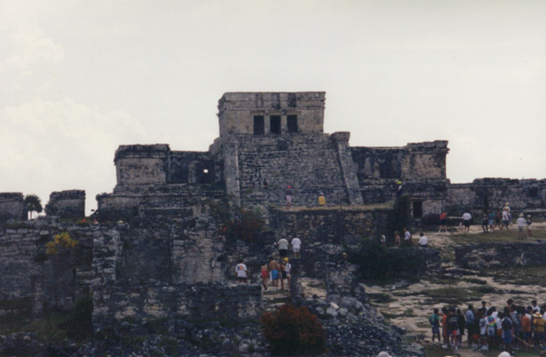 1993 (334)