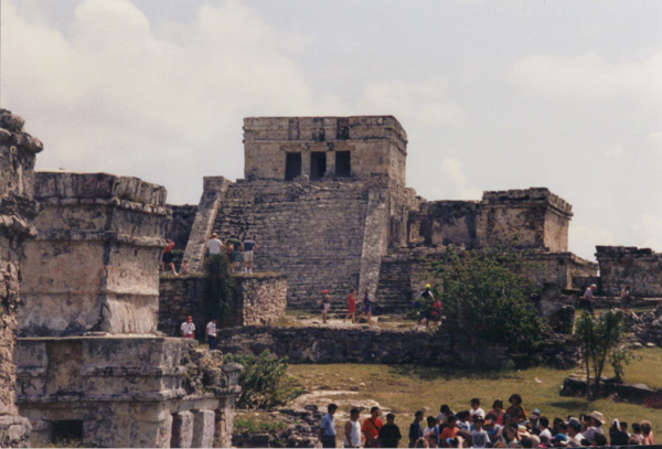 1993 (340)