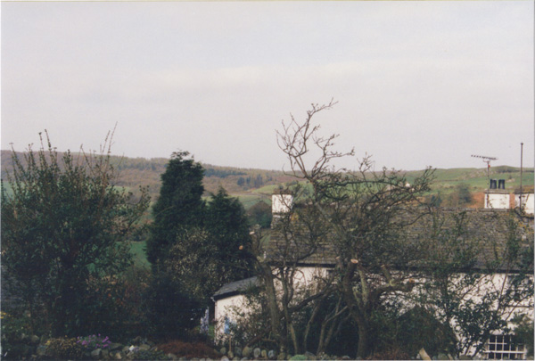 1993 (368)