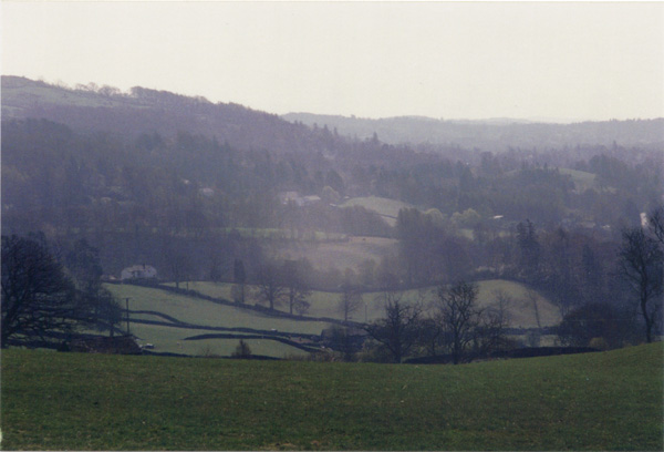 1993 (382)