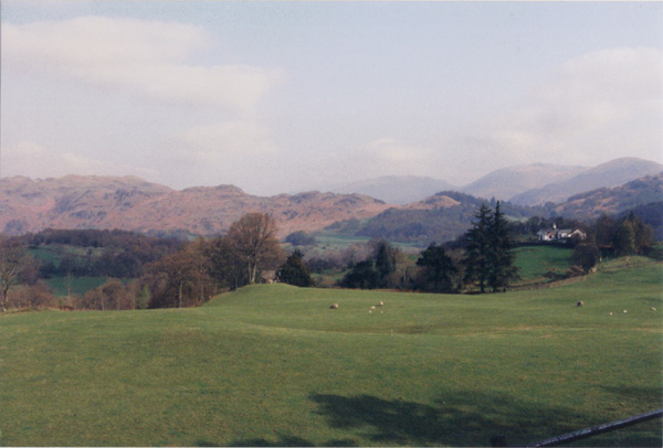 1993 (384)