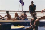 1993 (114)