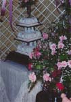 1993 (161)