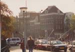 1993 (295)
