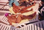 1993 (337)