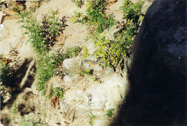 94-95 (138)