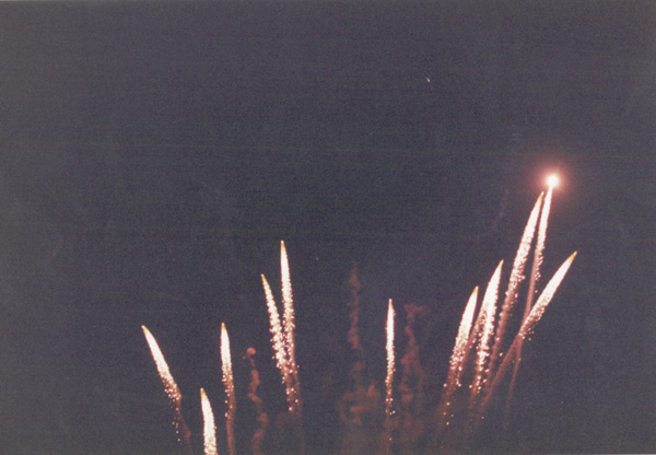 94-95 (220)