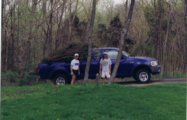 96-97 (381)